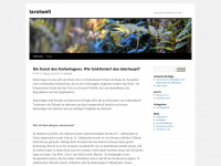 tarotwelt.wordpress.com Webseite Vorschau