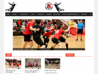 palotahandball.hu Webseite Vorschau