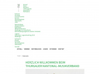 tkmv.ch Webseite Vorschau