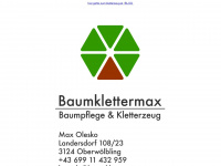 baumklettermax.at Webseite Vorschau