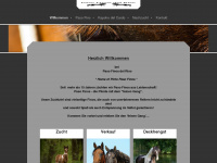 pasofino-pferde.de Webseite Vorschau