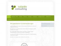 cylaido-consulting.de Webseite Vorschau