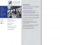 scalidis.com Webseite Vorschau