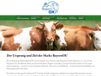 bayernox.de Webseite Vorschau