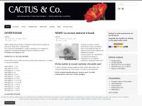 cactus-co.com Webseite Vorschau