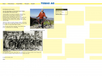 tebag.ch Webseite Vorschau