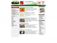 sauberes-tirol.at Webseite Vorschau