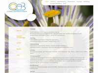 coab.ch Webseite Vorschau