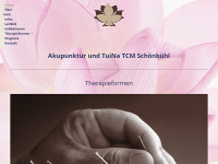 akupunktur-bill.ch Webseite Vorschau