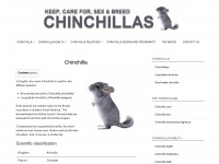 chin-chillas.com Webseite Vorschau
