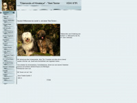 lenski-tibet-terrier.de Webseite Vorschau