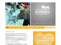 wir-sind-eltingen.com Webseite Vorschau