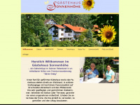 haus-sonnenhoehe.de Webseite Vorschau