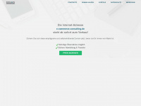 e-commerce-consulting.de Webseite Vorschau