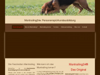 bildflaeche.com Webseite Vorschau