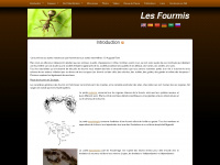 fort.thomas.free.fr Webseite Vorschau