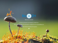 biozh.ch Webseite Vorschau