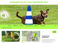 hundesportverein-crazy-dogs.de Thumbnail