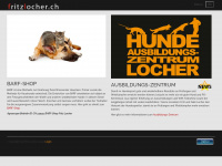 fritzlocher.ch Webseite Vorschau
