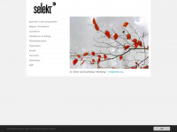 selekt.org Webseite Vorschau