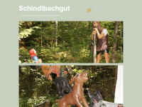 schindlbach.at Webseite Vorschau
