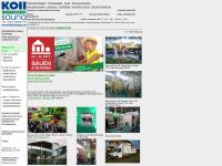 muenster.saunabau.de Webseite Vorschau
