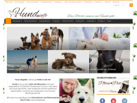 hund.info Webseite Vorschau