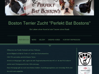 perfekt-bat-boston.com Webseite Vorschau