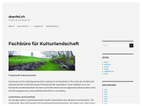 doerfel.ch Webseite Vorschau