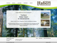 tischlerei-haberl.at Webseite Vorschau