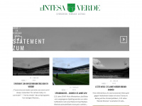 intesa-verde.de Webseite Vorschau