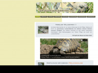 griechische-landschildkröten.com Webseite Vorschau