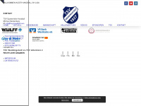 hsg-handball.com Webseite Vorschau