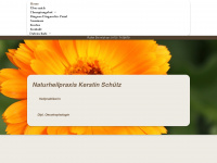 naturheilpraxis-schuetz.info Webseite Vorschau