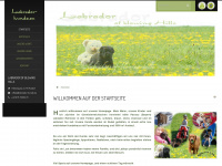 labrador-hunde.eu Webseite Vorschau