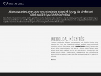 brill-life.hu Webseite Vorschau