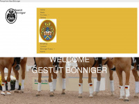 riding-pony.eu Webseite Vorschau