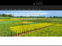 hoogenraadplant.nl Webseite Vorschau