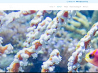 aquamedic.pl Webseite Vorschau