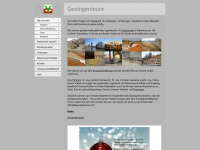 geoingenieure.info Webseite Vorschau