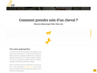 equisup.fr Webseite Vorschau
