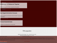 flügelrad.ch Webseite Vorschau