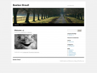 bastrauss.wordpress.com Webseite Vorschau