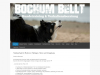 bochum-bellt.de Webseite Vorschau