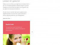 limax.nl Webseite Vorschau