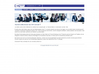 cw-consult-it.com Webseite Vorschau
