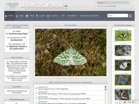 entomologenportal.de Webseite Vorschau