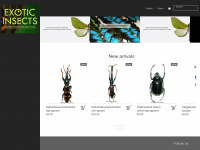 exotic-insects.com