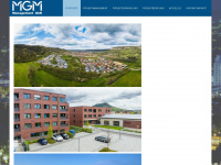 mgm-management.de Webseite Vorschau