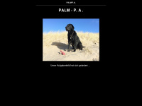 palm-pa.de Webseite Vorschau